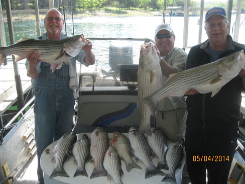 Nice Striped Bass